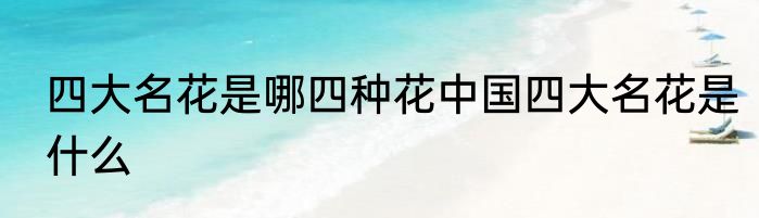 四大名花是哪四种花中国四大名花是什么