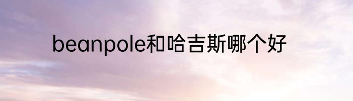 beanpole和哈吉斯哪个好