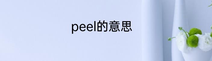 peel的意思