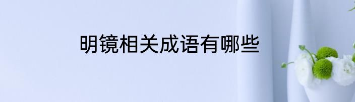 明镜相关成语有哪些