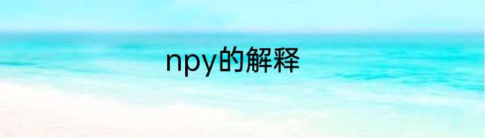 npy的解释