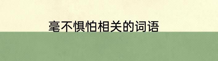 毫不惧怕相关的词语