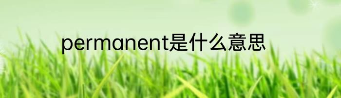 permanent是什么意思