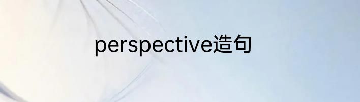 perspective造句