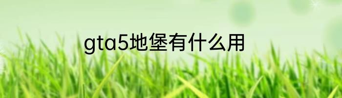 gta5地堡有什么用