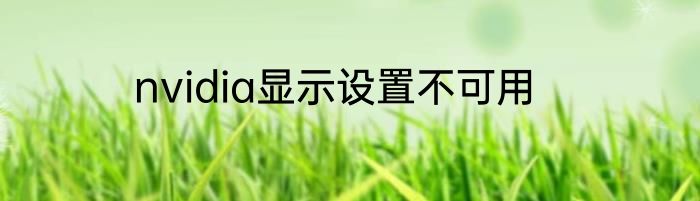 nvidia显示设置不可用