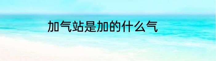 加气站是加的什么气