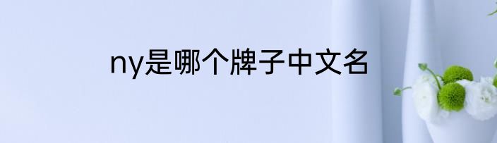 ny是哪个牌子中文名