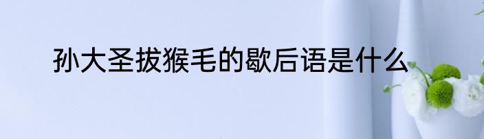 孙大圣拔猴毛的歇后语是什么