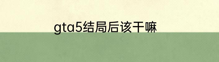 gta5结局后该干嘛