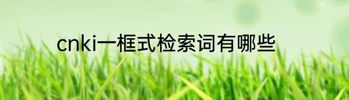 cnki一框式检索词有哪些
