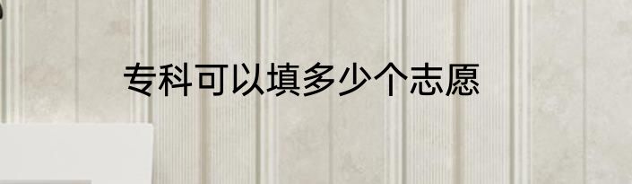 专科可以填多少个志愿