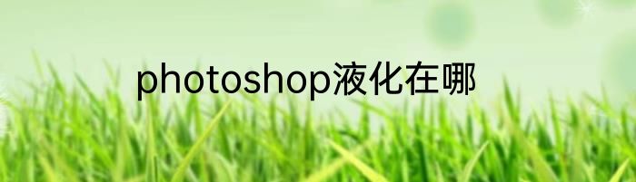 photoshop液化在哪