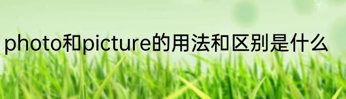 photo和picture的用法和区别是什么