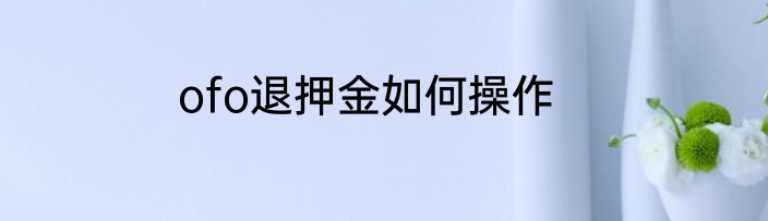 ofo退押金如何操作
