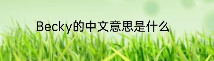 Becky的中文意思是什么