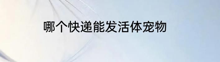 哪个快递能发活体宠物