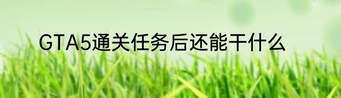 GTA5通关任务后还能干什么