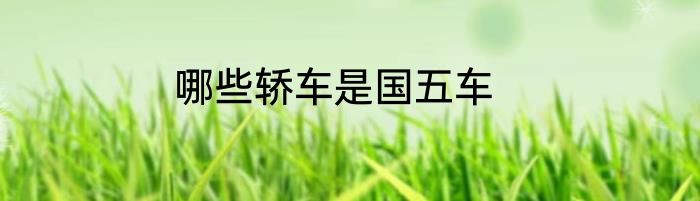哪些轿车是国五车