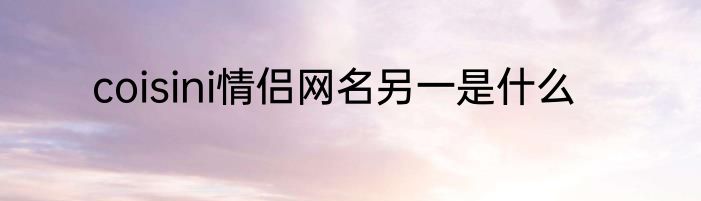 coisini情侣网名另一是什么