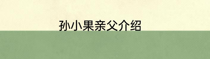 孙小果亲父介绍