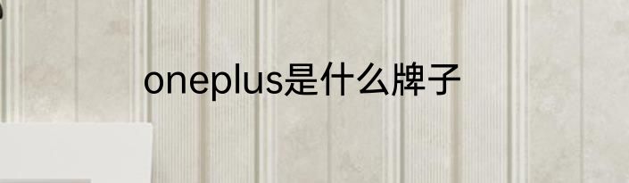 oneplus是什么牌子