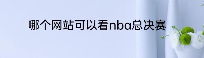 哪个网站可以看nba总决赛