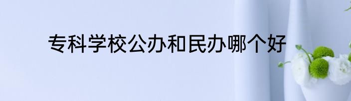 专科学校公办和民办哪个好