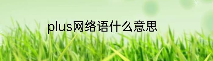 plus网络语什么意思