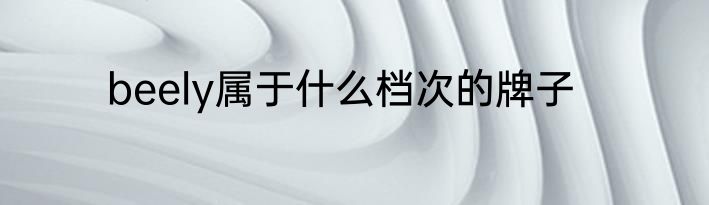 beely属于什么档次的牌子