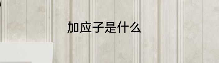 加应子是什么