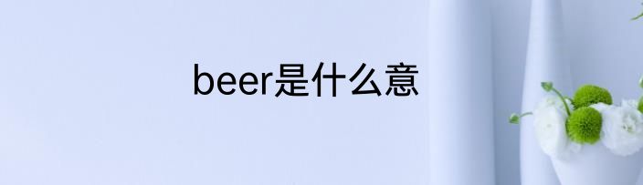 beer是什么意