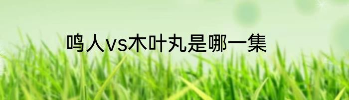 鸣人vs木叶丸是哪一集