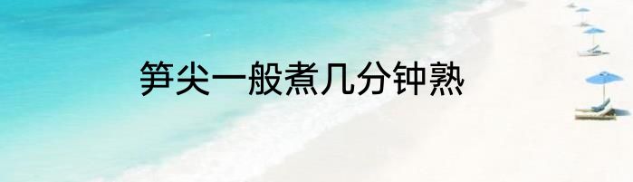 笋尖一般煮几分钟熟