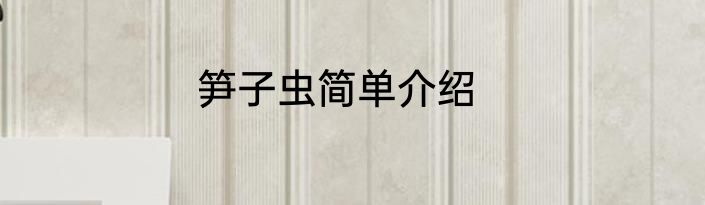 笋子虫简单介绍