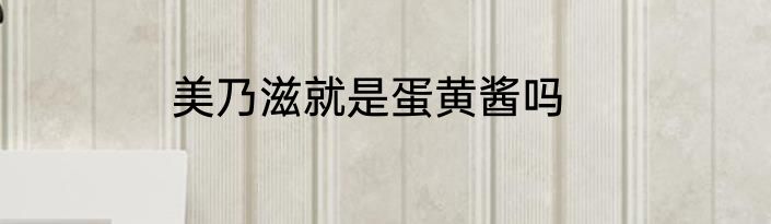 美乃滋就是蛋黄酱吗