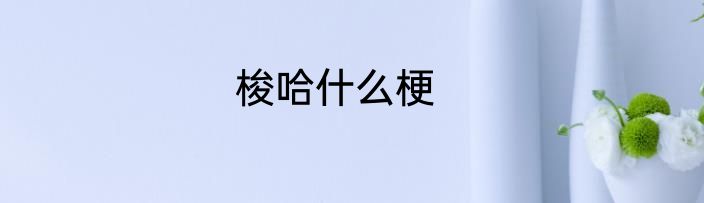 梭哈什么梗