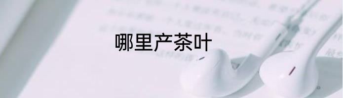 哪里产茶叶