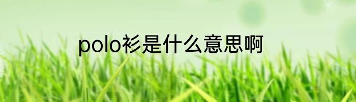 polo衫是什么意思啊