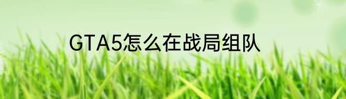 GTA5怎么在战局组队