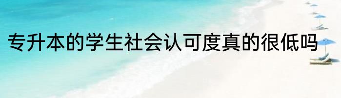 专升本的学生社会认可度真的很低吗