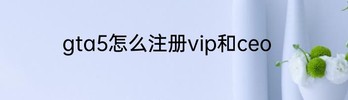 gta5怎么注册vip和ceo