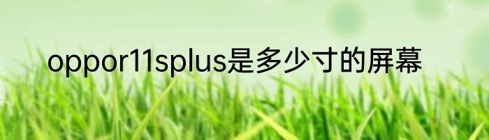 oppor11splus是多少寸的屏幕