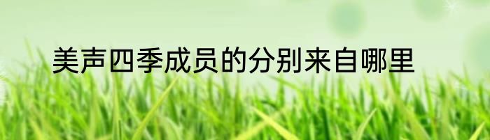 美声四季成员的分别来自哪里
