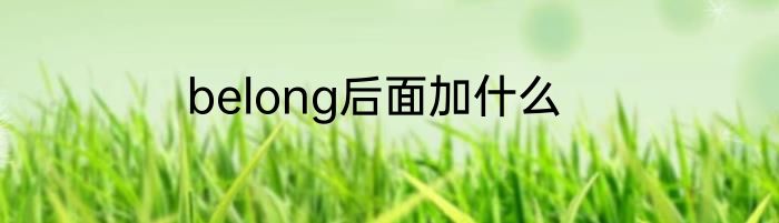 belong后面加什么