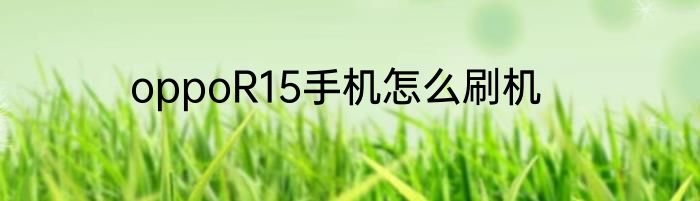 oppoR15手机怎么刷机