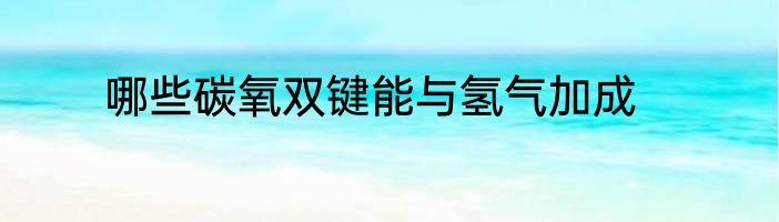 哪些碳氧双键能与氢气加成