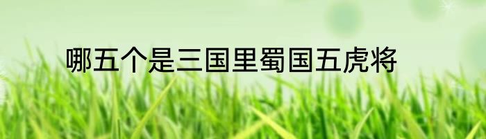 哪五个是三国里蜀国五虎将