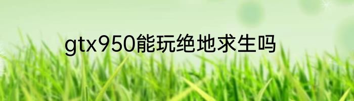 gtx950能玩绝地求生吗