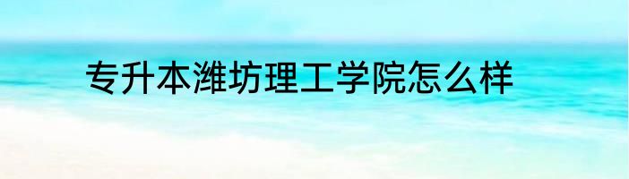 专升本潍坊理工学院怎么样